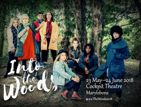 Stellar Cast Announced for INTO THE WOODS at The Cockpit Image