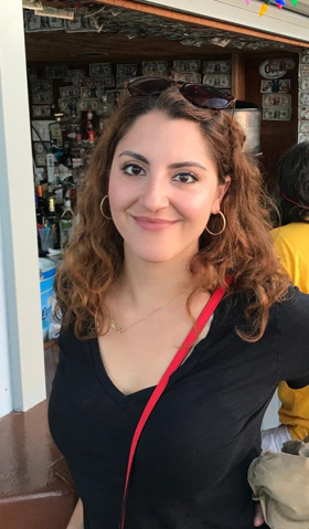 BWW Interview: Playwright Nicole Pandolfo and BRICK CITY at Premiere Stages Image