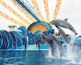 Marinas Menu & Lifestyle: SEAWORLD SAN DIEGO-Plan Your Visit  Image