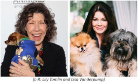 Lisa Vanderpump to Receive Lily Tomlin Award at VFTA's Benefit Show  Image