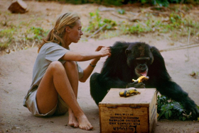 5th Annual New York WILD Film Festival Celebrates 'Heroes & Hope' Image