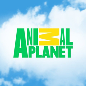 Animal Planet Has Highest Rated Quarter In Two Years in 1Q18 Image