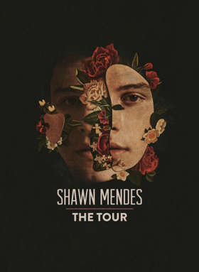 Shawn Mendes Announces 2019 Global Arena Tour Dates Image