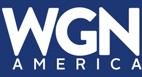 WGN America Picks Up Two New Detective Series, CARTER and GONE Image