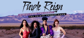 Prince Tribute, Purple Reign, Comes To Worcester 