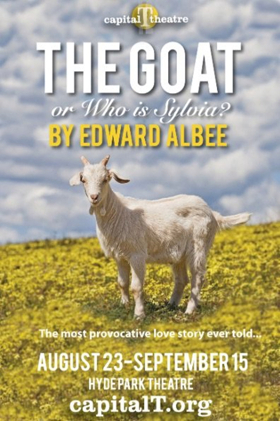 Review: Rebecca Robinson Delivers Remarkable Performance in Albee's THE GOAT Image