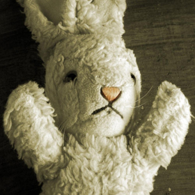 NH Theatre Project Opens WHITE RABBIT RED RABBIT and New RUSH40 Program Image