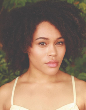 Interview: Brittany Williams of A BRONX TALE the National Tour at The National Theatre Image