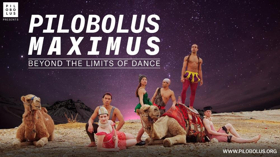 The Lisa Smith Wengler Center for the Arts presents PILOBOLUS Image