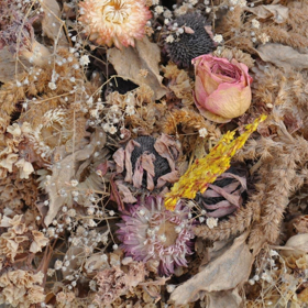 Slowcore Torchbearer Drowse Announce New Album Image