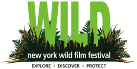 HAPPENING: A Clean Energy Revolution to Be Awarded Best Environmental Film at New York WILD Film Festival 