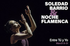 Noche Flamenca Adds New Works to ENTRE TU Y YO Image