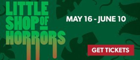 LITTLE SHOP OF HORRORS Opens Tonight at Phoenix Theatre Image