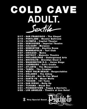 COLD CAVE Announces Tour with Adult. and Sextile Image