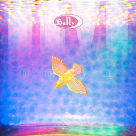BELLY Announce First Album in 23 Years, DOVE + Tour Dates Image