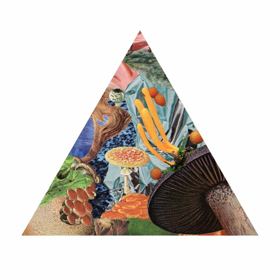 Modest Mouse Share POISON THE WELL Image