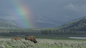 The Smithsonian Channel and Bill Pullman Present EPIC YELLOWSTONE 
