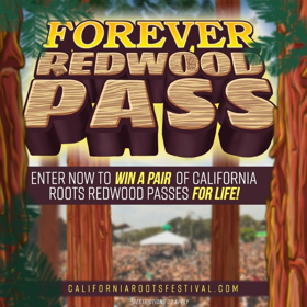 The California Roots Music and Arts Festival Announces the Forever Redwoods Contest 