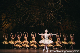 National Ballet of Canada Announces Principal Casting for THE SLEEPING BEAUTY 