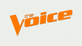 The First Round of Advancing Artists from the Premiere Episode of THE VOICE  Image