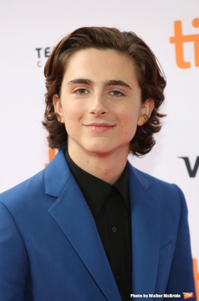 Timothee Chalamet in Talks to Join Netflix Adaptation of HENRY IV & HENRY V  Image