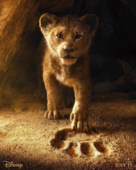 Disney's Film Chief Says THE LION KING Will Be New Form of Filmmaking Image