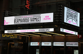 TV: On the Red Carpet on Opening Night of BERNHARDT/HAMLET! Image