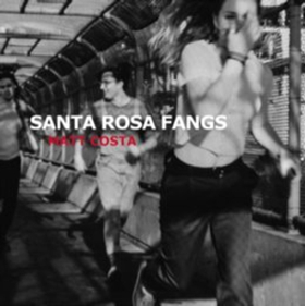 Matt Costa Releases New Single TIME TRICKS From Upcoming Album SANTA ROSA FANGS Image