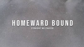 Straight No Chaser Share New Music Video For HOMEWARD BOUND Image