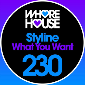 Styline Delivers New Club Weapon 'What You Want' on Whore House Records  Image