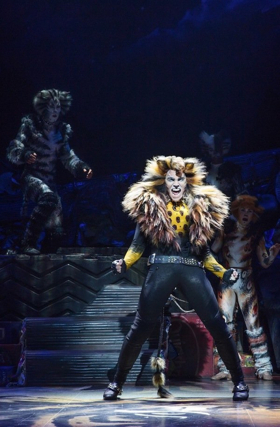 Service Dog Runs Amok During CATS Opening Number! Image