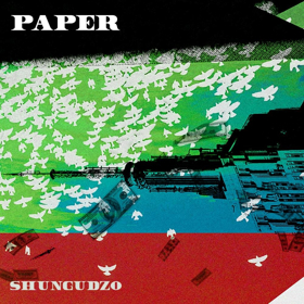 Shungudzo Releases Official Video For PAPER Image
