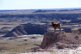 Smithsonian Channel Premieres AMERICA'S BADLANDS, 12/20 Image