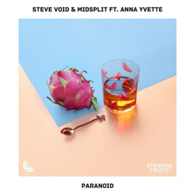 Steve Void and Midsplit Join Forces On New Single PARANOID Image