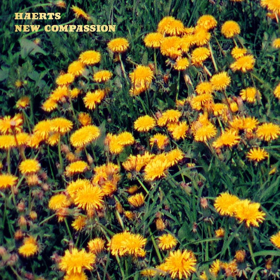 HAERTS Signs to Arts & Crafts Announces New LP This Fall + New Single NEW COMPASSION Out Now Image