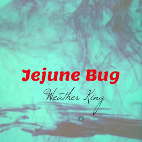 Alternative Rock Band Weather King Releases Single JEJUNE BUG Today Image