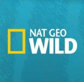 Nat Geo WILD Roars into 2018 with Seven New & Returning Series 