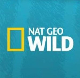 Nat Geo WILD Presents Commercial-Free Musical Event SYMPHONY FOR OUR WORLD, 4/22 Image