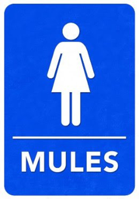 Theatrefront Presents MULES Image