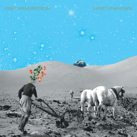 Erika Wennerstrom (of Heartless Bastards) Announces Debut Solo LP Image