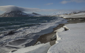 Smithsonian Channel Announces New Series RUSSIA'S WILD SEA Image