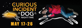Theatre Tulsa Next Stage Presents THE CURIOUS INCIDENT OF THE DOG IN THE NIGHT-TIME 