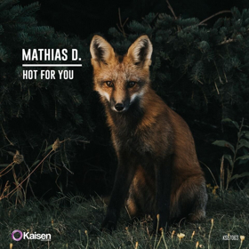 Mathias D. Returns to Kaisen Records with 'Hot For You' Image