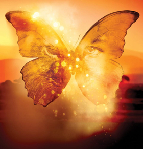 Full Casting Announced For The Barn Theatre Production Of THE BUTTERFLY LION Image
