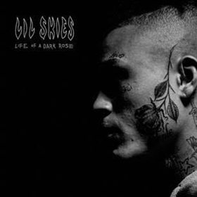 Lil Skies 'Life Of A Dark Rosee' Mixtape Out Today  Image