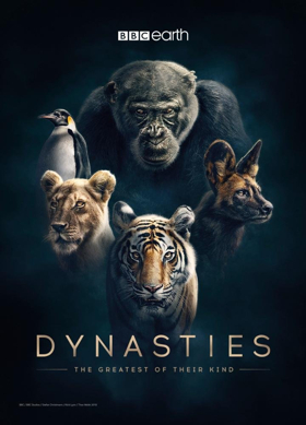 BBC America Releases First Look Image of Its New Natural History Series DYNASTIES Image