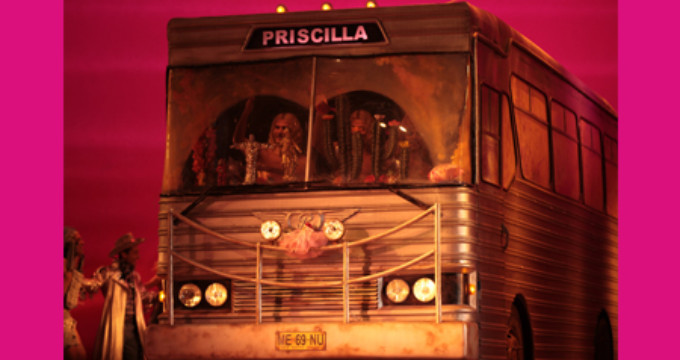 Review: PRISCILLA - LA REGINA DEL DESERTO at Teatro Verdi - Firenze Image