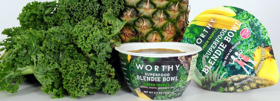 The Worthy BLENDIE BOWL is a Ready-to-Eat Nutritious and Delicious Snack 