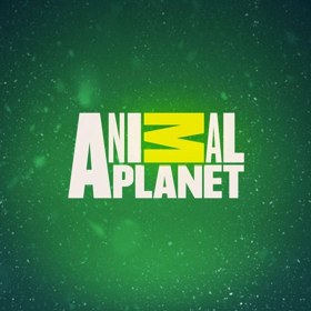 Animal Planet's THE ZOO Returns for a Second Season March 10 at 9 PM ET/PT Image