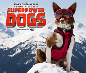 New IMAX Documentary SUPERPOWER DOGS to Open at The California Science Center 